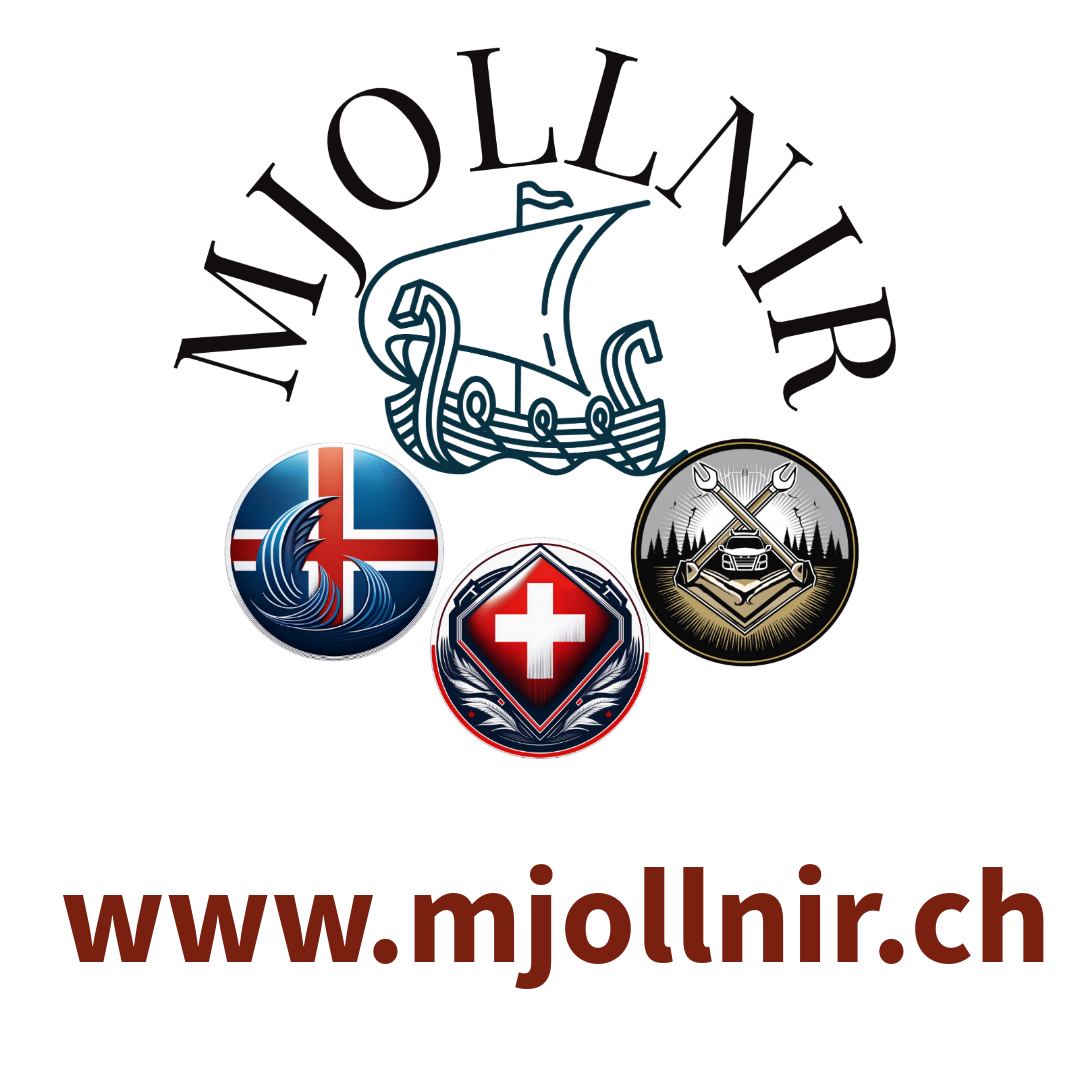 Mjollnir | Mandatsleitung, Interim Management und Corporate Consulting